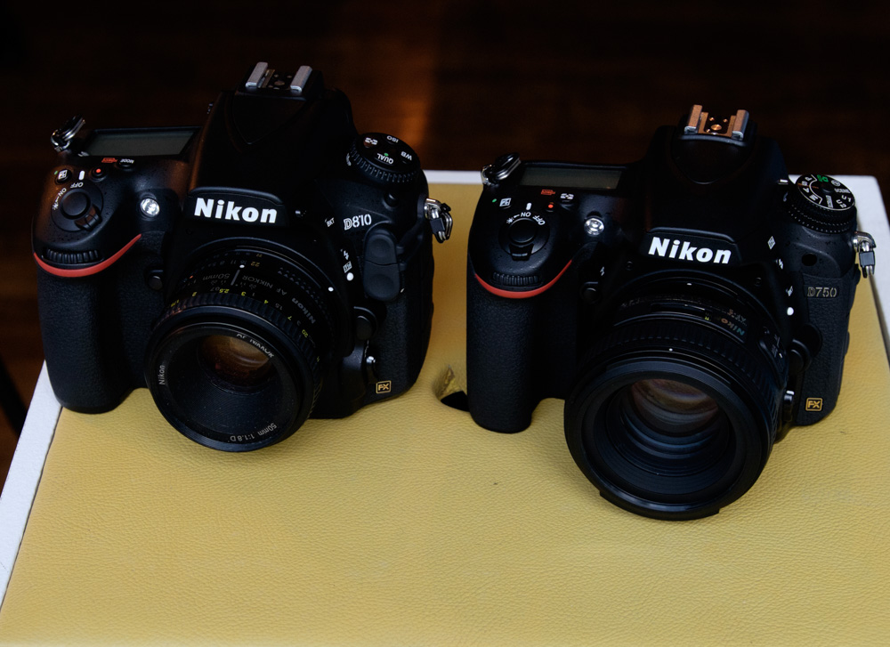 $200 Price Drop on Nikon D810 and $100 Price Drop on D750 !